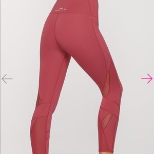 Ankle biter tights leggings